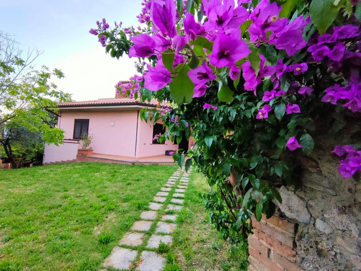 Bella Vista - Belvedere Montebuono  Bagian luar foto